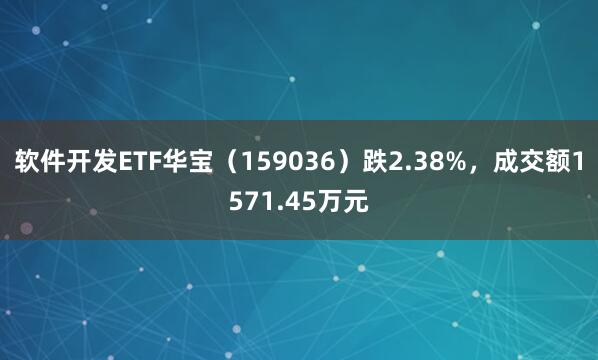 软件开发ETF华宝（159036）跌2.38%，成交额1571.45万元