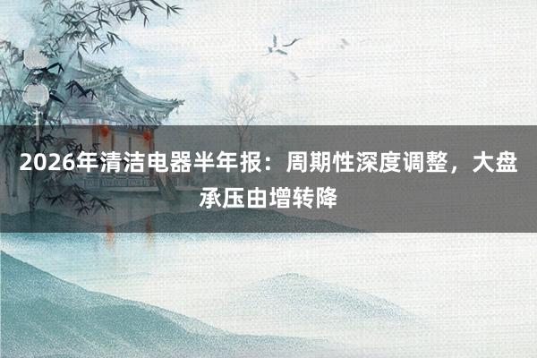 2026年清洁电器半年报：周期性深度调整，大盘承压由增转降