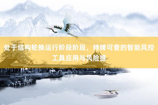 处于结构轮换运行阶段阶段，持牌可查的智能风控工具应用与风险提