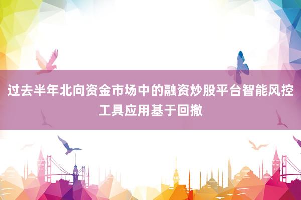 过去半年北向资金市场中的融资炒股平台智能风控工具应用基于回撤