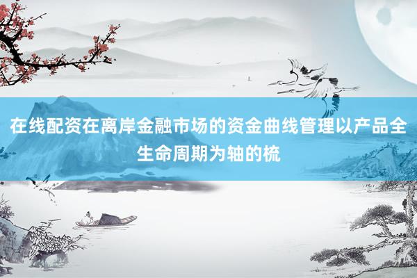 在线配资在离岸金融市场的资金曲线管理以产品全生命周期为轴的梳