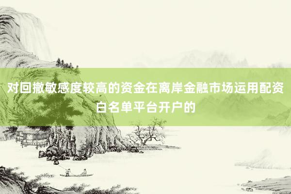 对回撤敏感度较高的资金在离岸金融市场运用配资白名单平台开户的