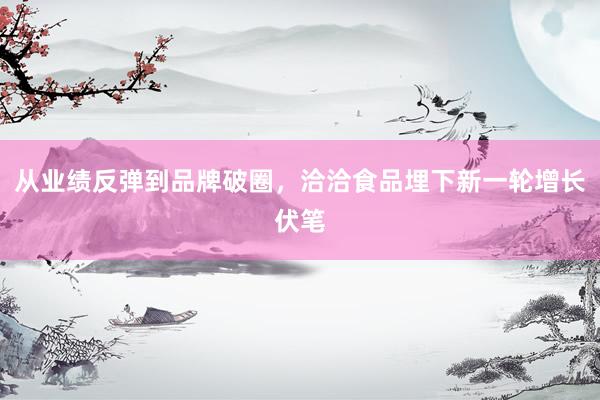 从业绩反弹到品牌破圈，洽洽食品埋下新一轮增长伏笔