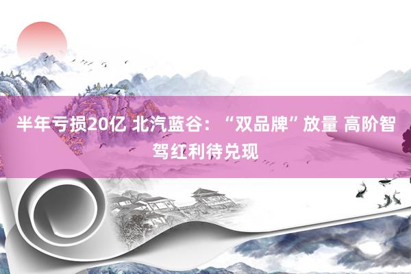 半年亏损20亿 北汽蓝谷：“双品牌”放量 高阶智驾红利待兑现