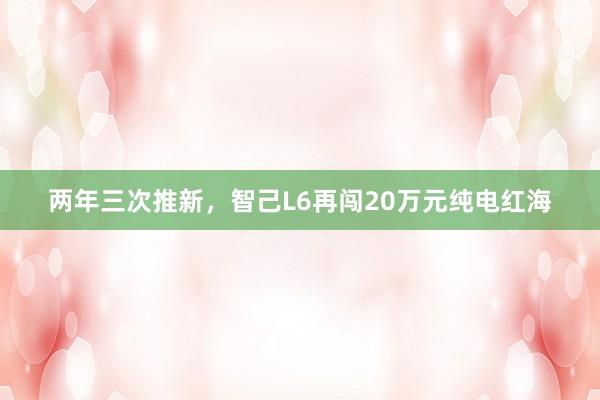 两年三次推新，智己L6再闯20万元纯电红海