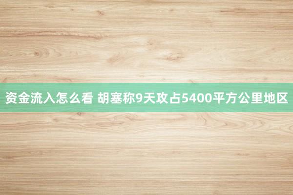资金流入怎么看 胡塞称9天攻占5400平方公里地区