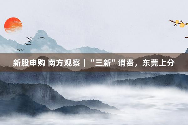 新股申购 南方观察｜“三新”消费，东莞上分