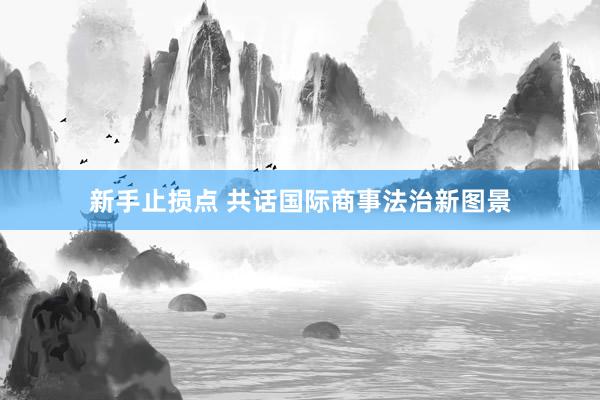 新手止损点 共话国际商事法治新图景