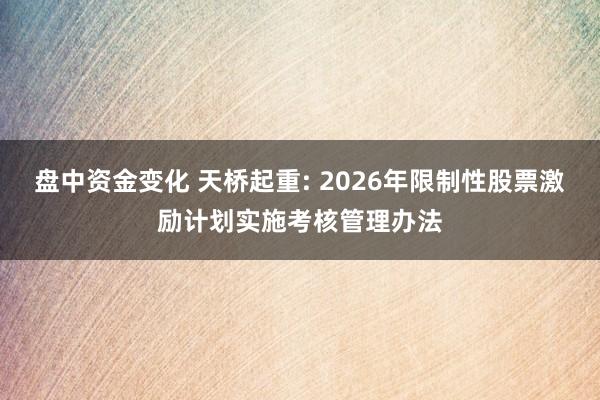 盘中资金变化 天桥起重: 2026年限制性股票激励计划实施考核管理办法